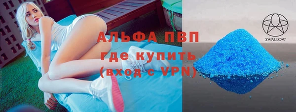 стафф Арсеньев