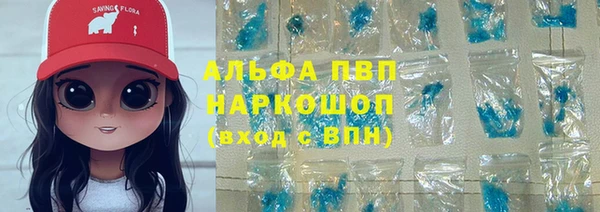 стафф Арсеньев