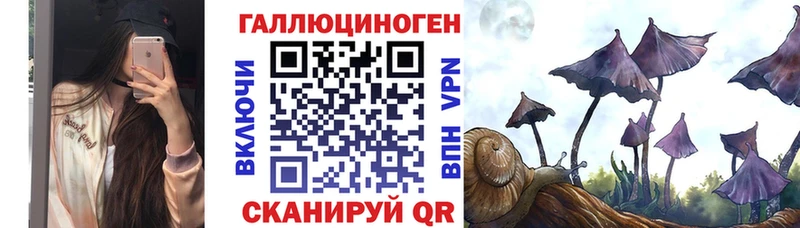 Псилоцибиновые грибы мухоморы  купить наркотики сайты  Сурск 